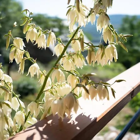 بيت للعطل Napkelet Vendeghaz