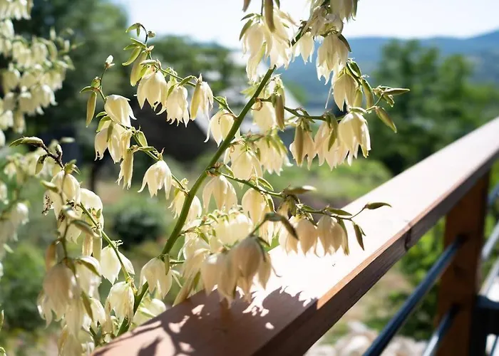 Case de vacanță Napkelet Vendeghaz